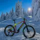 Mountain E-Bike Crussis e-Atland 8.6-S – 2021 - 18"