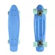 Penny Board Fish Classic 22” - Grey-White-Orange - Blue-Silver-Summer Green