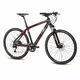 Crossový bicykel 4EVER Therapy CC1 Disc - model 2015 - čierno-šedá