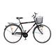 Trekking bike DHS 2811 Comfort - model 2013 - Blue - Black