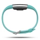 Fitness náramok Fitbit Charge 2 Teal Silver