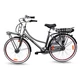 Stadt E-Bike Llobe Rosendaal 3 Lady Grau 13 Ah