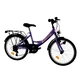 Detský bicykel DHS Kreativ 2014 20" - fialová