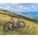 Women’s Mountain E-Bike Crussis e-Fionna 10.6 – 2021