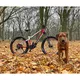 Damen E-Mountainbike Crussise-Guera 8.7-M - model 2022