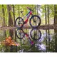 Damen E-Mountainbike Crussis e-Guera 9.6-M - model 2021