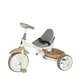 Three-Wheel Stroller/Tricycle with Tow Bar Coccolle Evo