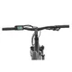 Falt E-Mountainbike Llobe FML 830 black