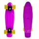 Penny board Spartan Plastic 22,5" - fialová