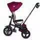 Three-Wheel Stroller w/ Tow Bar Coccolle Velo