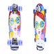 Penny board ArtFish Face 22" se svítícími kolečky - stříbrná
