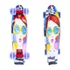 Penny board ArtFish Face 22" se svítícími kolečky