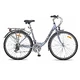 Trekingový bicykel Galaxy Castalia 28" - model 2014 - strieborná