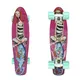 Penny Board ArtFish Girl 22" - Silver-White - White-Green