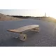 Fish Classic Wood 22" Penny Board