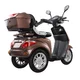 Three-Wheel Electric Scooter inSPORTline Zorica - Black - Brown