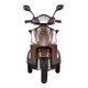 Three-Wheel Electric Scooter inSPORTline Zorica - Black