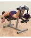 GLCE365 Body-Solid Leg Extension in Leg Curl