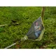 Hammock w/ Bug Net ENO JungleNest - Pacific