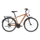 Pánsky trekingový bicykel KELLYS CARSON 30 28" - model 2019 - L (21'')