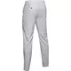 Pánske golfové nohavice Under Armour EU Performance Slim Taper Pant - 32/34