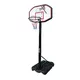 Spartan Chicago Baskeball Stand