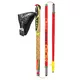 Nordic Walking hole Leki Micro Trail Pro