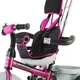 Three-Wheel Stroller/Tricycle with Tow Bar DHS Scooter Plus - Green