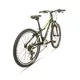 Junior Mountain bike Galaxy Pavo 24" - model 2020