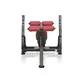 Workout Bench Marbo Sport MP-L208