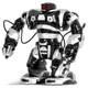 Roboman