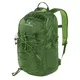 Rucksack FERRINO Rocker 25 New grün