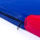 Gymnastics Mat inSPORTline Roshar T90 200 x 120 x 5 cm