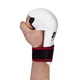 Spartan karate Boxing Gloves