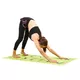 Folding Yoga Mat inSPORTline Shome