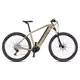 Horské elektrokolo 4EVER Esword Team M510 29" - Sand/Metal Silver - Sand/Metal Silver
