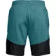 Pánské kraťasy Under Armour Threadborne Terry Short - Black/Black