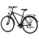 Pánsky trekingový bicykel KELLYS CARSON 40 28" 7.0