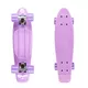 Penny board Fish Classic 22" - 2.jakost