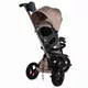 Three-Wheel Stroller w/ Tow Bar Coccolle Velo - Green